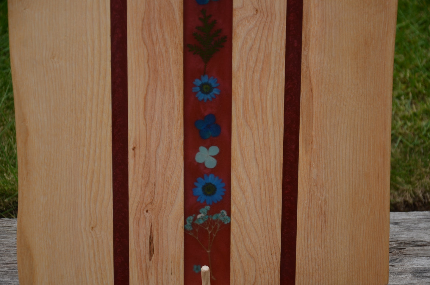 Forget-me-nots blue flowers
