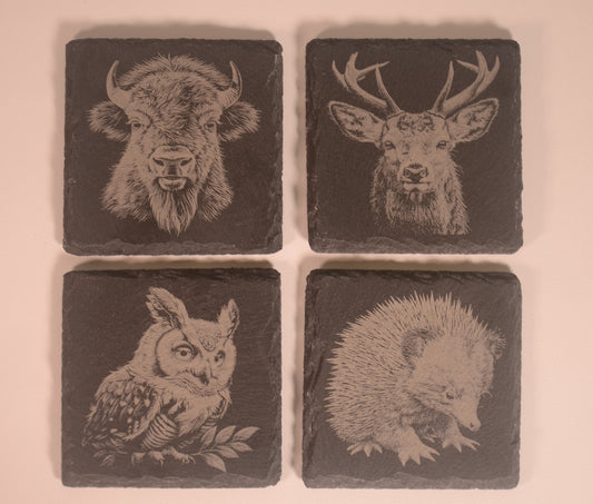 Wild Life Coasters