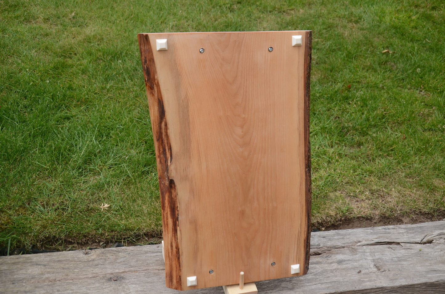 Bowtie & Braces Serving Tray